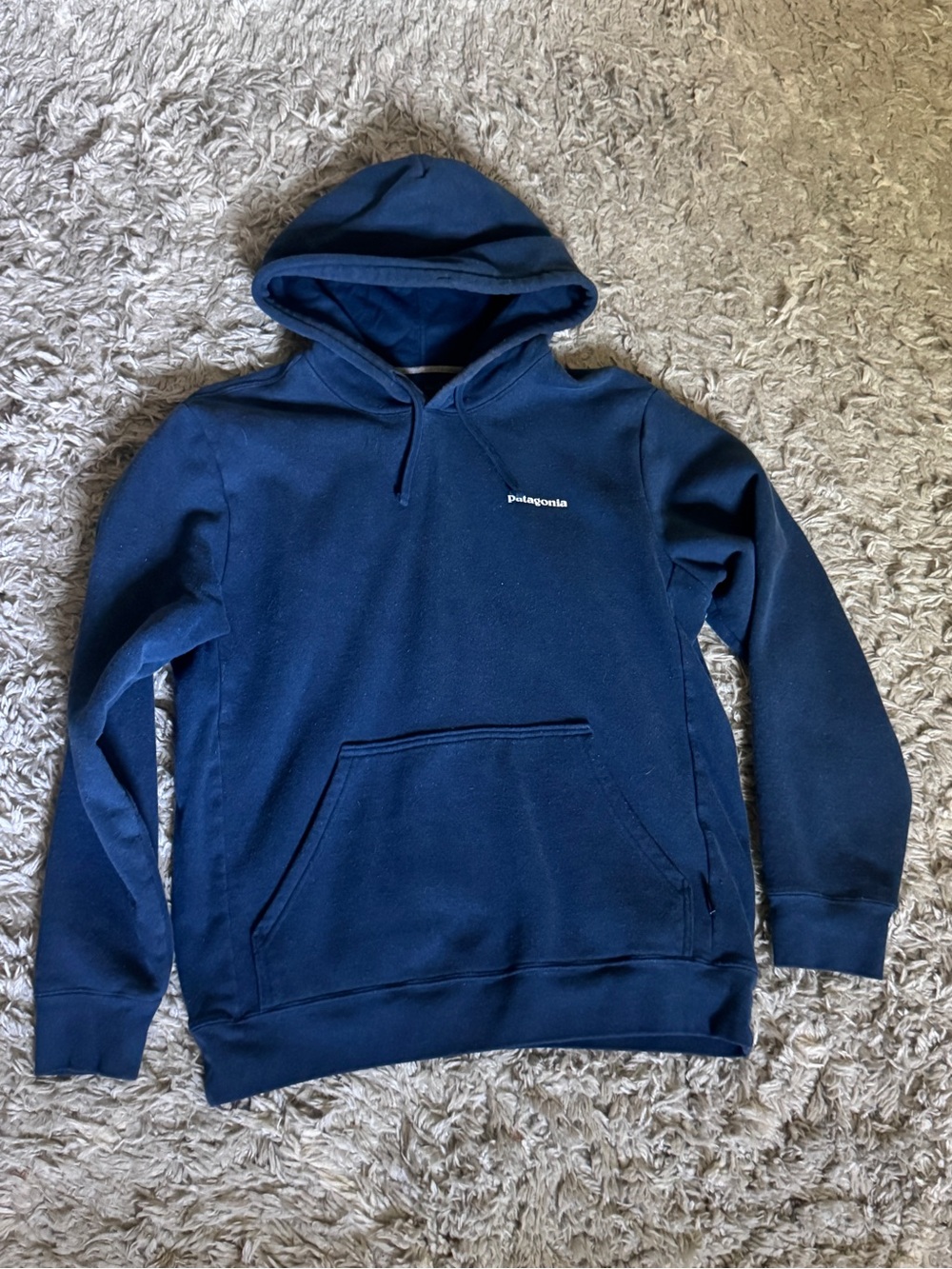 Patagonia Sweatshirt